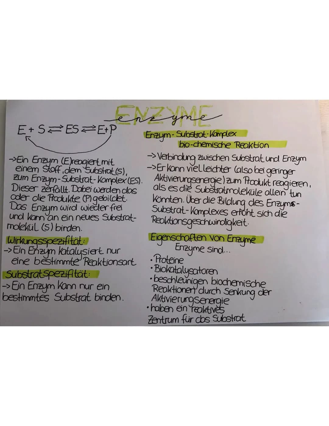 enzyme
E+SESE+P
->Ein Enzym (E)reagiert mit
einem Stoff, dem Substrat (S),
zum Enzym-Substrat-Komplex (ES).
Dieser zerfällt. Dabei werden da