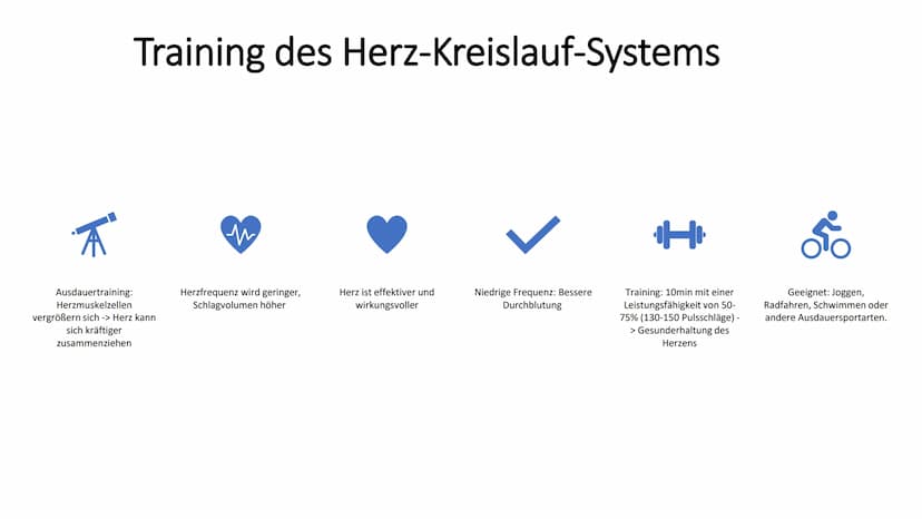 Herz-Kreislauf-
System
W obere Hohlvene
Aorta
Herz
Lebervene
Lungenaterie
Lungenvene(n)
untere Hohlvene
Nierenvene
Inhaltsverzeichnis
1.
2.
