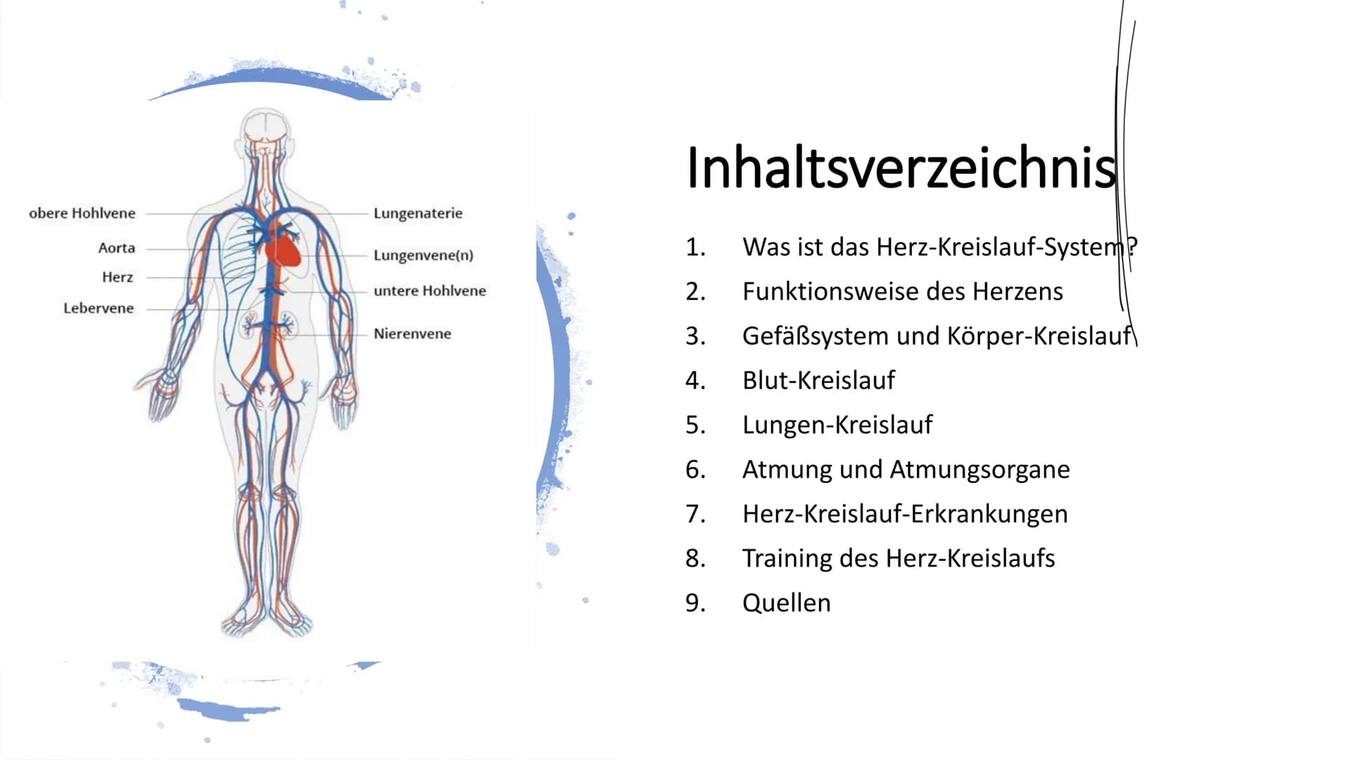 Herz-Kreislauf-
System
W obere Hohlvene
Aorta
Herz
Lebervene
Lungenaterie
Lungenvene(n)
untere Hohlvene
Nierenvene
Inhaltsverzeichnis
1.
2.
