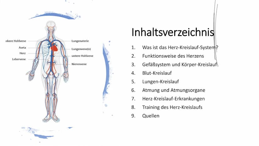 Herz-Kreislauf-
System
W obere Hohlvene
Aorta
Herz
Lebervene
Lungenaterie
Lungenvene(n)
untere Hohlvene
Nierenvene
Inhaltsverzeichnis
1.
2.

