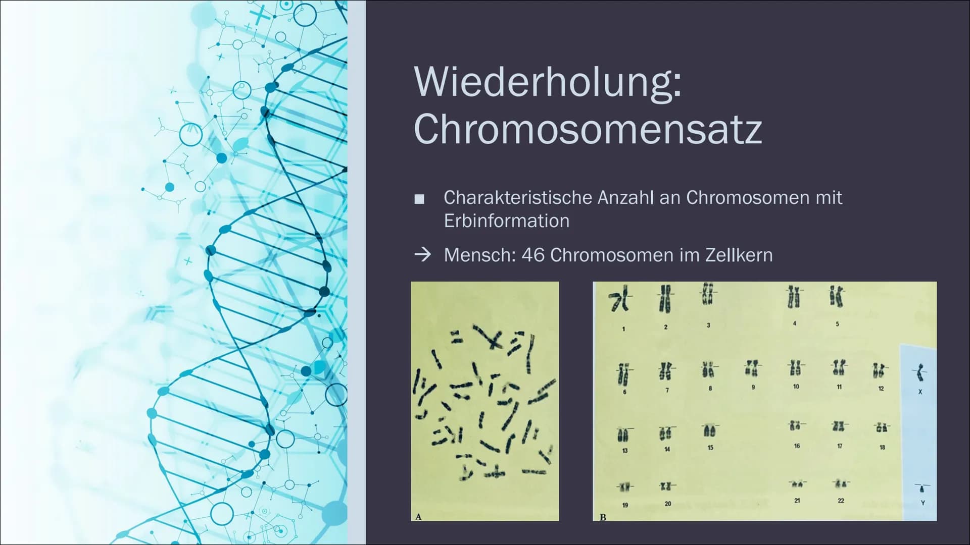 GENOMMUTATION
Am Beispiel von Trisomie Gliederung
Was sind Genommutationen?
Trisomie 21
Trisomie 13 & 18
Pränatale Diagnostik WAS SIND
GENOM