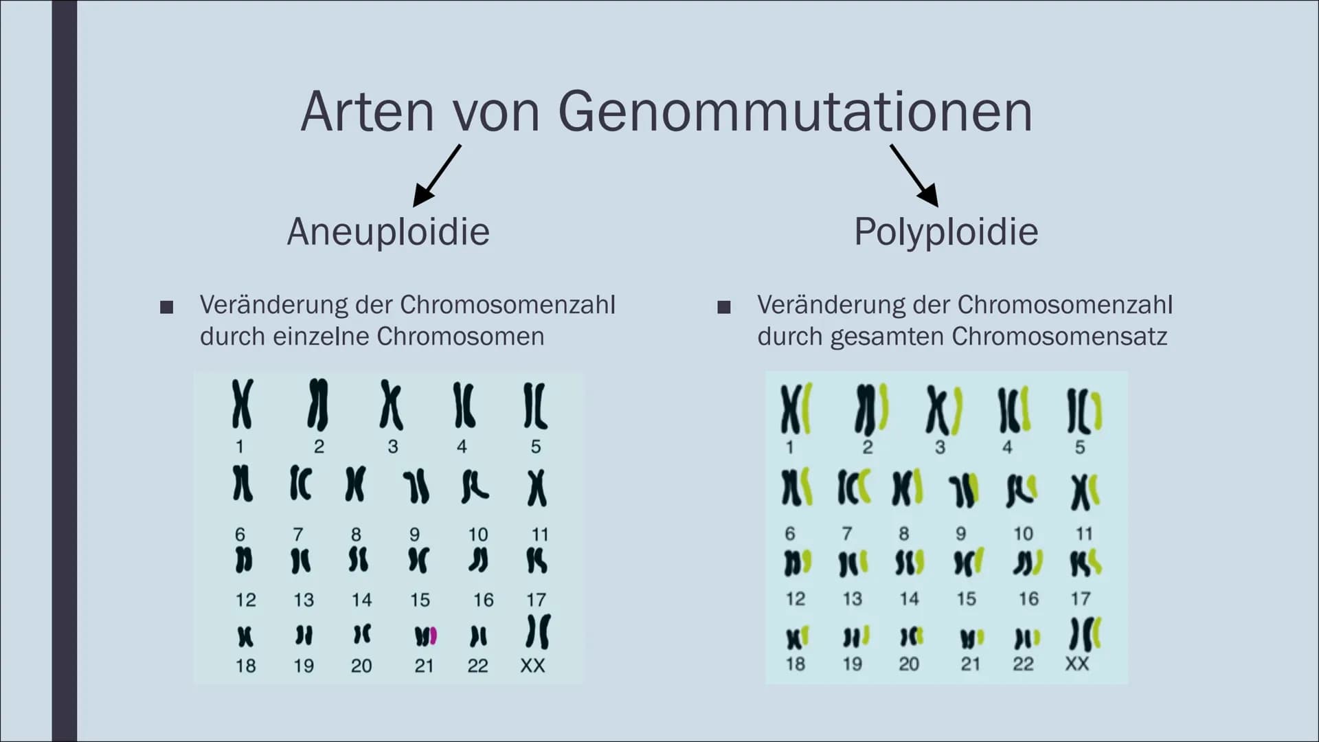GENOMMUTATION
Am Beispiel von Trisomie Gliederung
Was sind Genommutationen?
Trisomie 21
Trisomie 13 & 18
Pränatale Diagnostik WAS SIND
GENOM