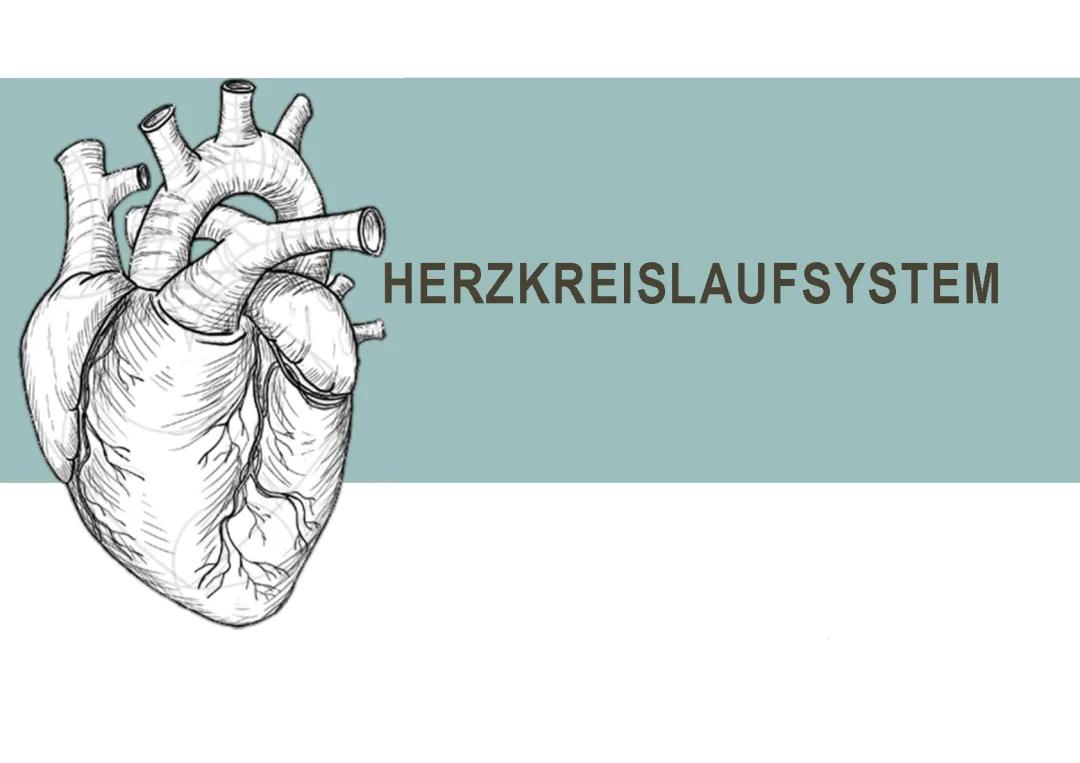 Herzkreislaufsystem