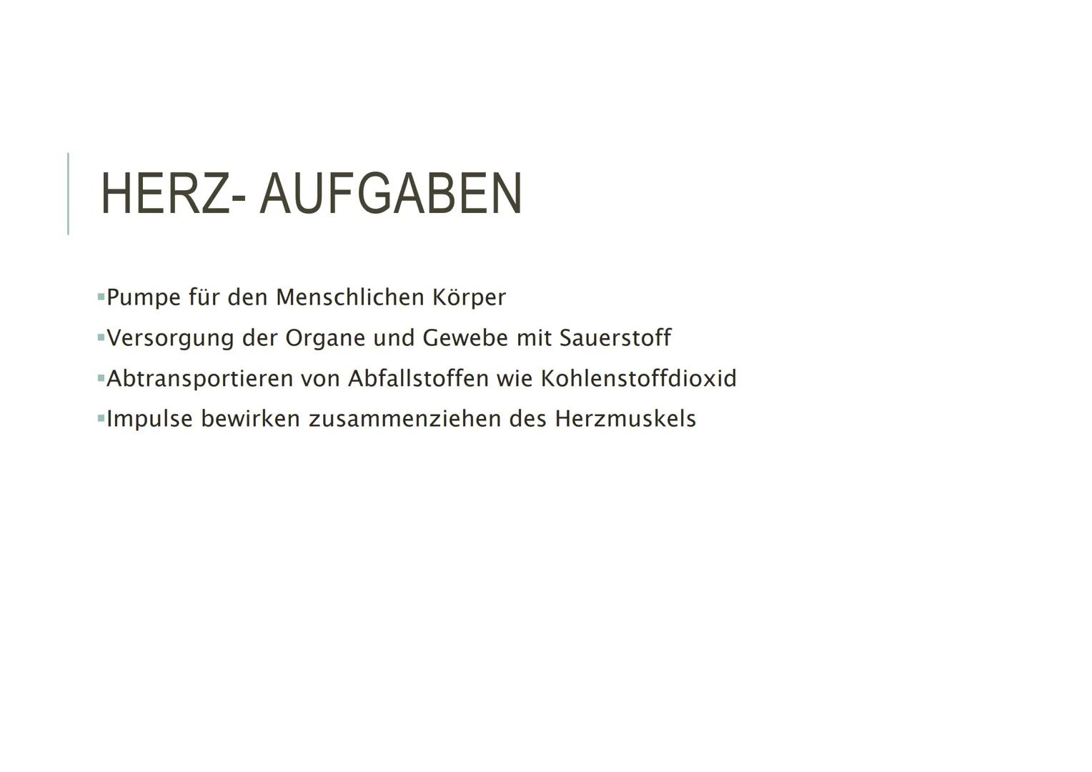 HERZKREISLAUFSYSTEM HERZ - AUFBAU
▪Hohlmuskel
-Im Mediastinum (Mitte des Brustkorbs)
-Faustgroß
"eigenes Reizbildungs- und
Reizleistungssyst