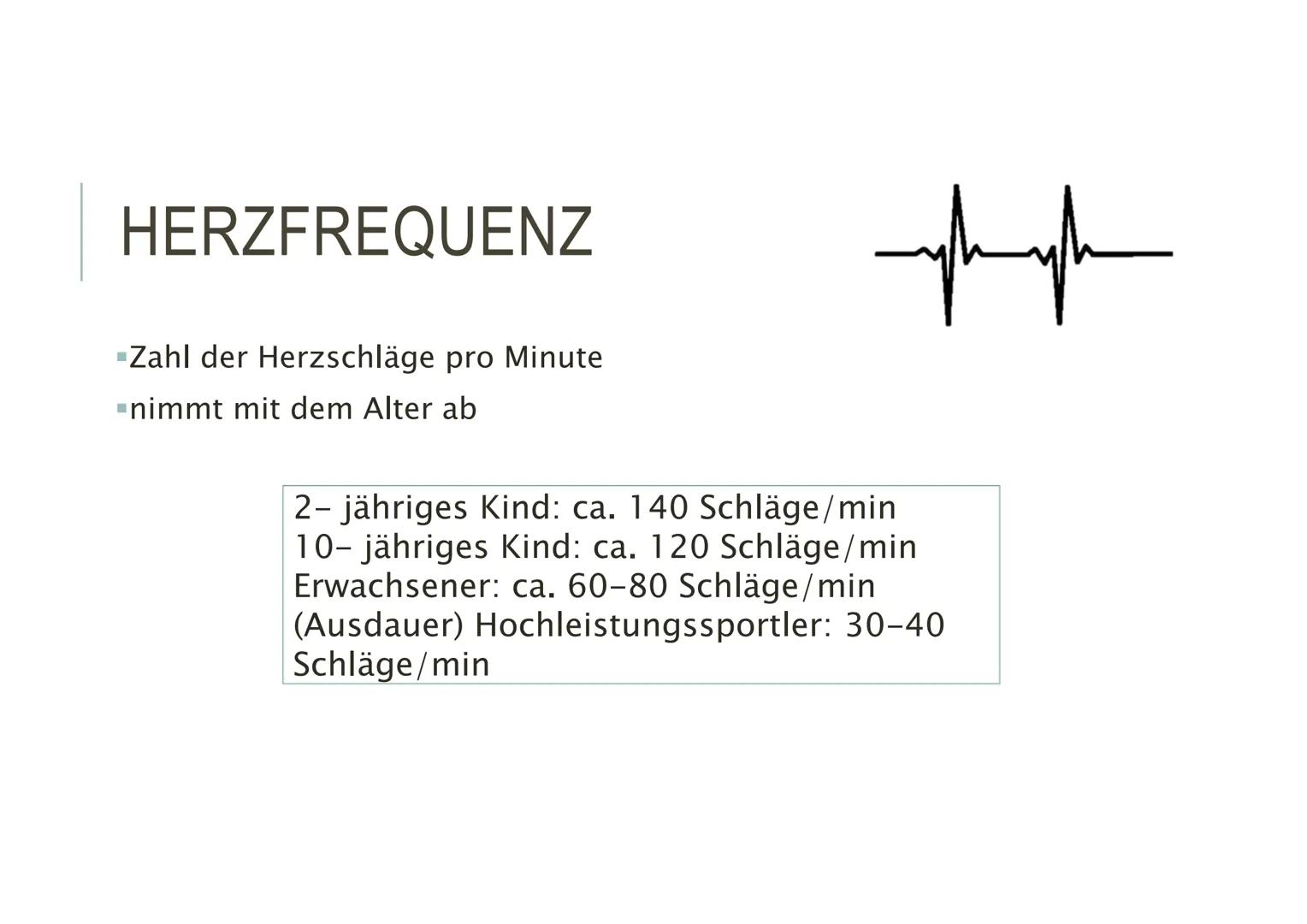 HERZKREISLAUFSYSTEM HERZ - AUFBAU
▪Hohlmuskel
-Im Mediastinum (Mitte des Brustkorbs)
-Faustgroß
"eigenes Reizbildungs- und
Reizleistungssyst