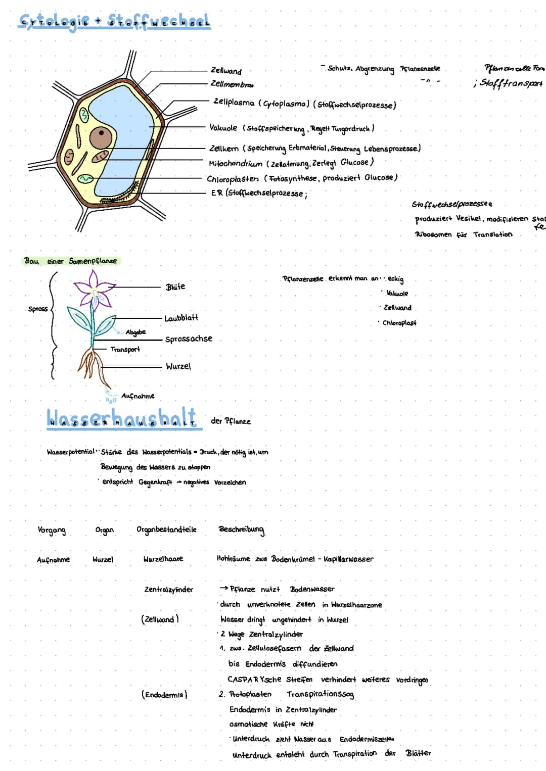 Cytologie