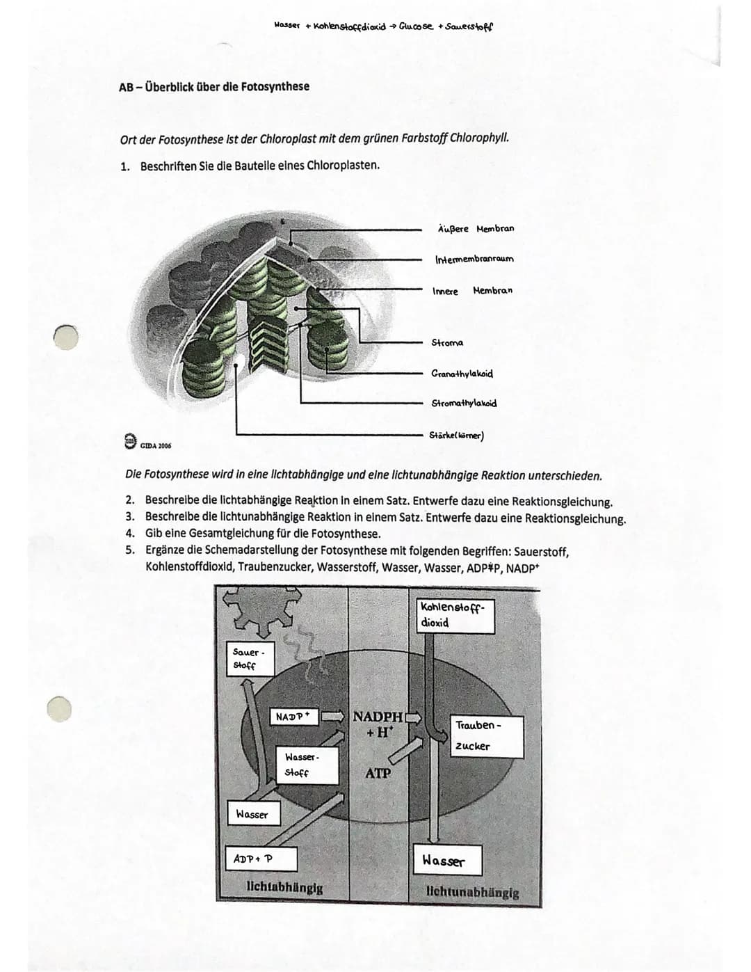 Cytologie + Stoffwechsel
Bau einer Samenpflanze
Spross
Vorgang
Transport
Aufnahme
Abgabe
Organ
Aufnahme
Wurzel
Blüte
H₂O
Hasserhaushalt
Laub