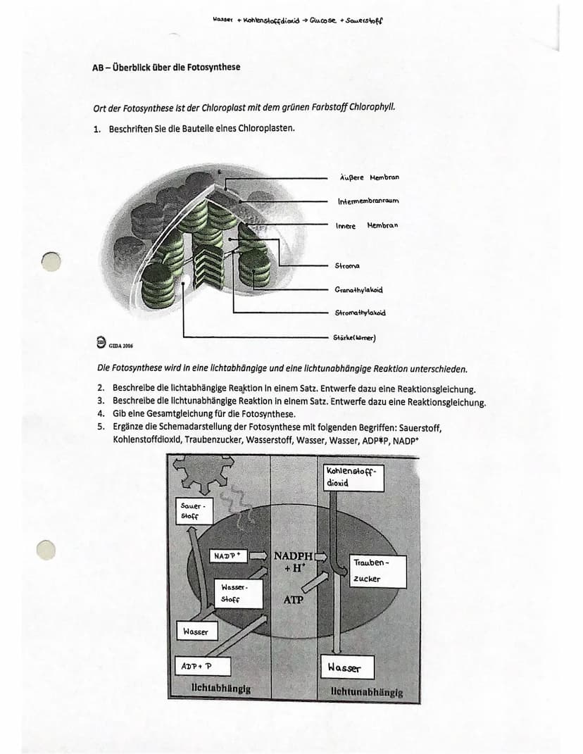 Cytologie + Stoffwechsel
Bau einer Samenpflanze
Spross
Vorgang
Transport
Aufnahme
Abgabe
Organ
Aufnahme
Wurzel
Blüte
H₂O
Hasserhaushalt
Laub