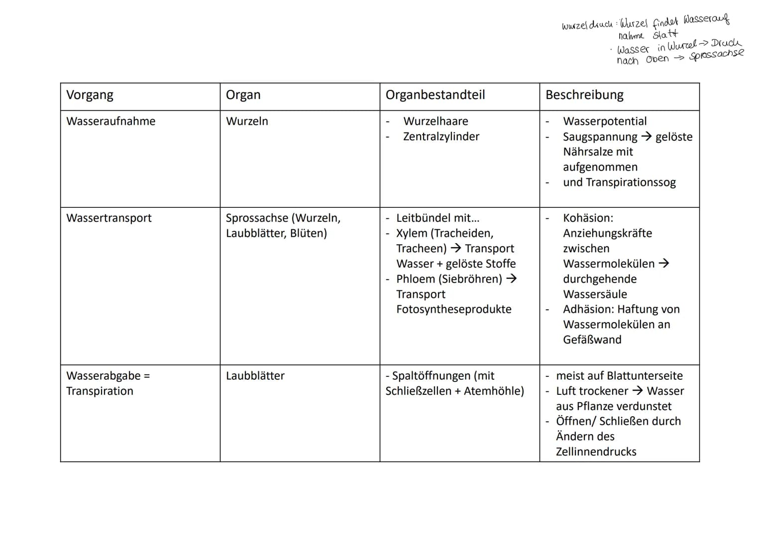 Cytologie + Stoffwechsel
Bau einer Samenpflanze
Spross
Vorgang
Transport
Aufnahme
Abgabe
Organ
Aufnahme
Wurzel
Blüte
H₂O
Hasserhaushalt
Laub