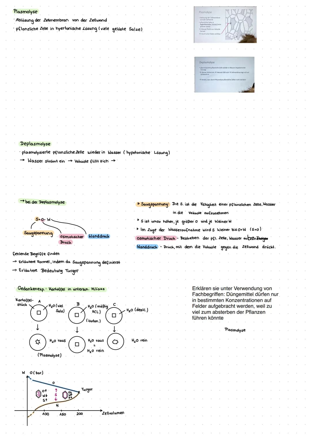 Cytologie + Stoffwechsel
Bau einer Samenpflanze
Spross
Vorgang
Transport
Aufnahme
Abgabe
Organ
Aufnahme
Wurzel
Blüte
H₂O
Hasserhaushalt
Laub