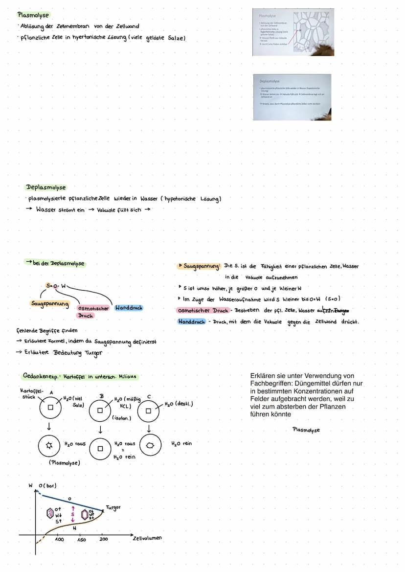 Cytologie + Stoffwechsel
Bau einer Samenpflanze
Spross
Vorgang
Transport
Aufnahme
Abgabe
Organ
Aufnahme
Wurzel
Blüte
H₂O
Hasserhaushalt
Laub