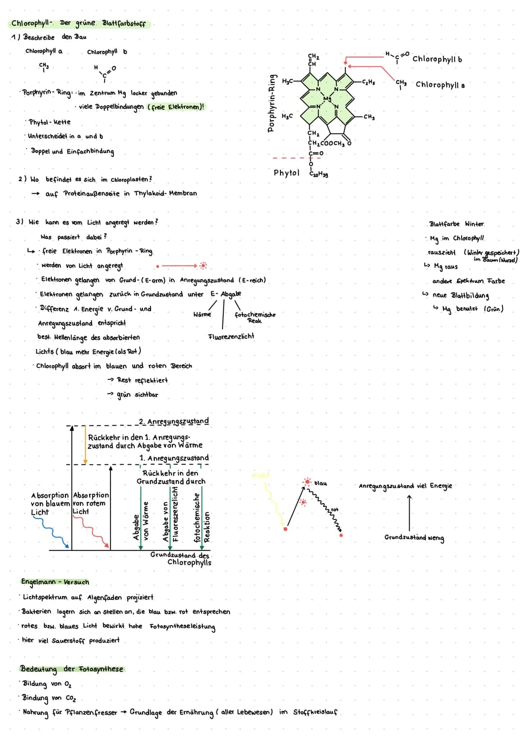 Cytologie + Stoffwechsel
Bau einer Samenpflanze
Spross
Vorgang
Transport
Aufnahme
Abgabe
Organ
Aufnahme
Wurzel
Blüte
H₂O
Hasserhaushalt
Laub