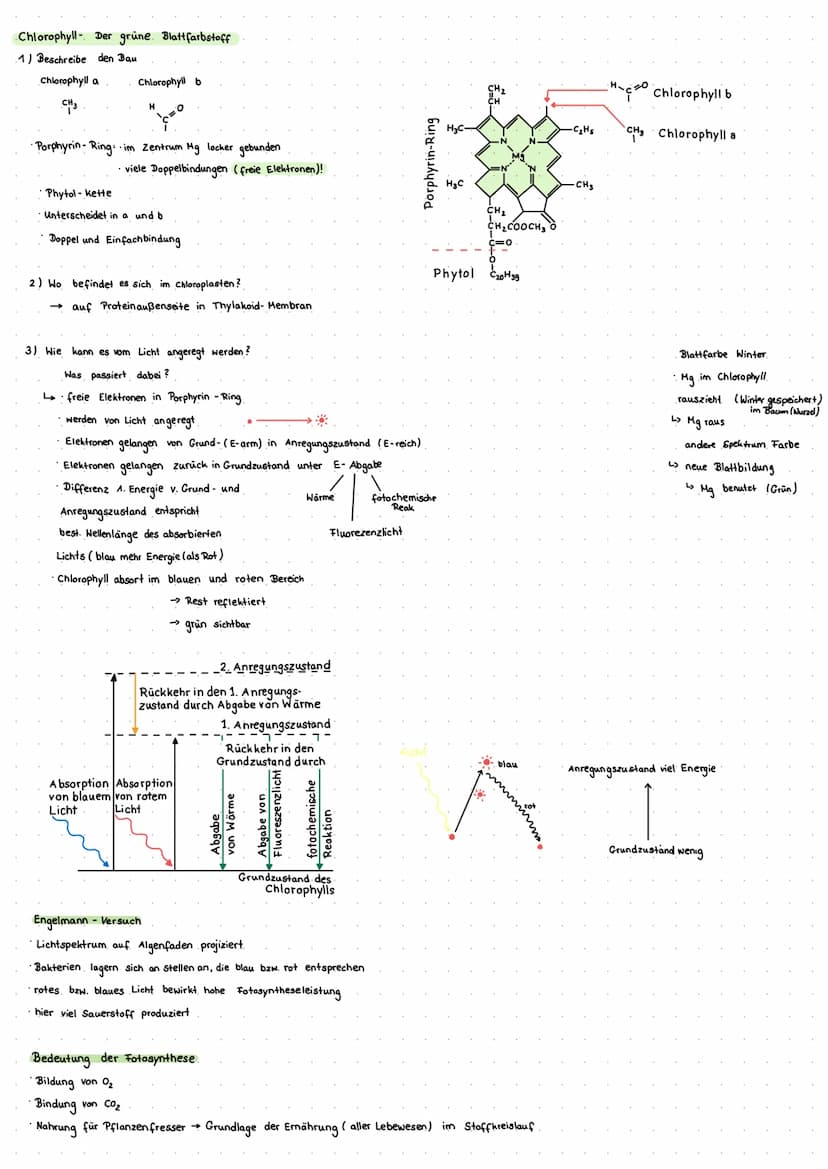 Cytologie + Stoffwechsel
Bau einer Samenpflanze
Spross
Vorgang
Transport
Aufnahme
Abgabe
Organ
Aufnahme
Wurzel
Blüte
H₂O
Hasserhaushalt
Laub