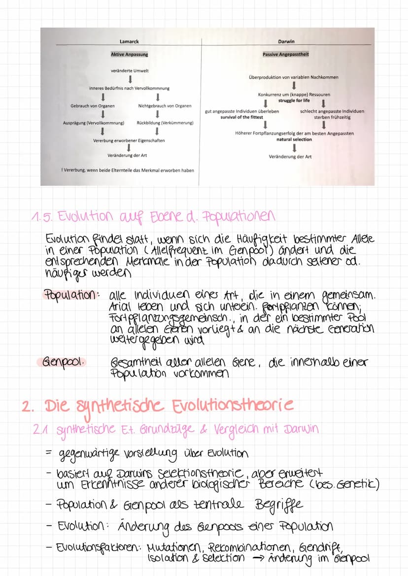 Bio Klausur
1. Biodiversital & Evolutionstheorien
1.1 Biodiversität
=
Vielfalt der Arten + Fähigkeit einer Art, Individuen mit unterschiedl.