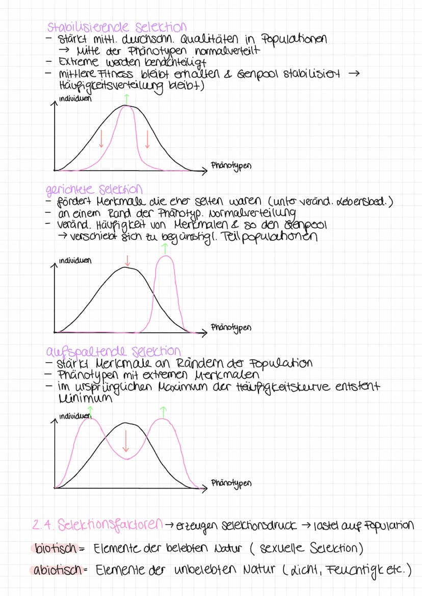 Bio Klausur
1. Biodiversital & Evolutionstheorien
1.1 Biodiversität
=
Vielfalt der Arten + Fähigkeit einer Art, Individuen mit unterschiedl.