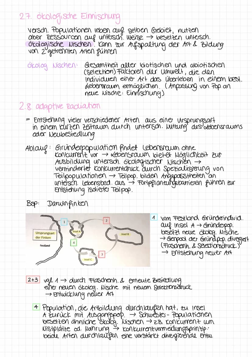 Bio Klausur
1. Biodiversital & Evolutionstheorien
1.1 Biodiversität
=
Vielfalt der Arten + Fähigkeit einer Art, Individuen mit unterschiedl.