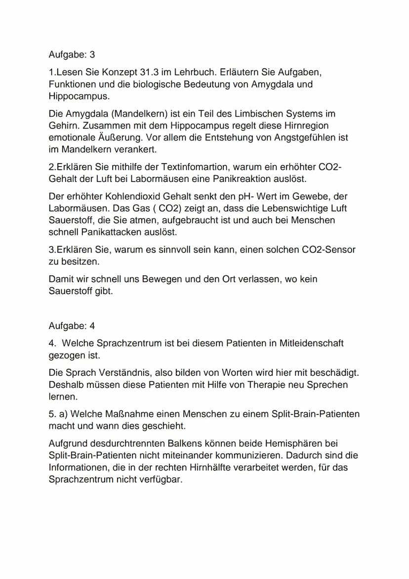 Bio-Lk-3
Aufgabe des Gehirns:
Hirnteil
Endhirn (Großhirn):
Limbische System
Balken
Zwischenhirn
Mittelhirn
Kleinhirn
Brücke
Nachhirn
Komal R