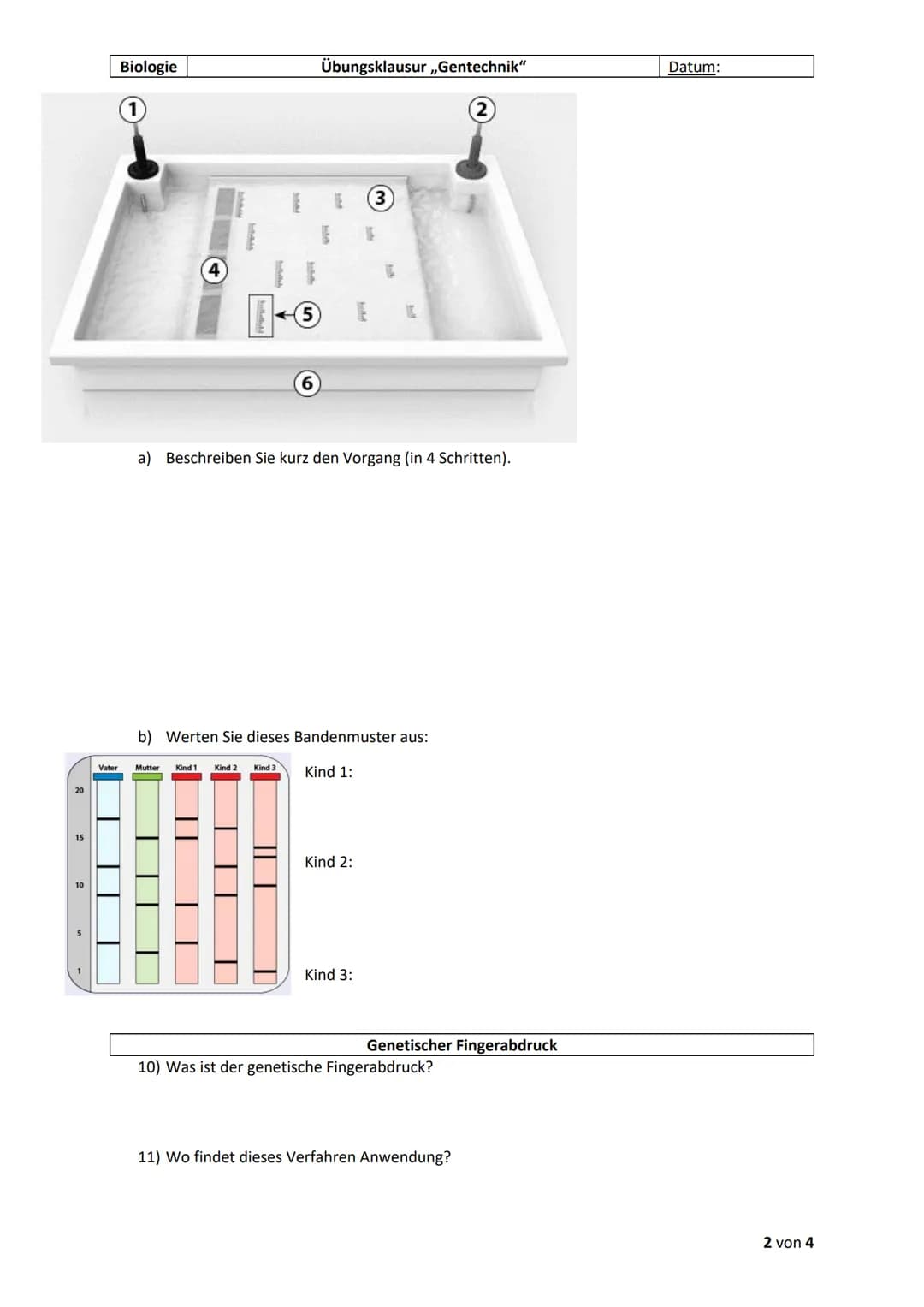 Biologie
1) Nennen Sie den Zweck der PCR.
Vervielfältigung der DNA.
2) Nennen Sie 3 Anwendungen.
●
gefundene DNA am Tatort (Forensik)
,,hera
