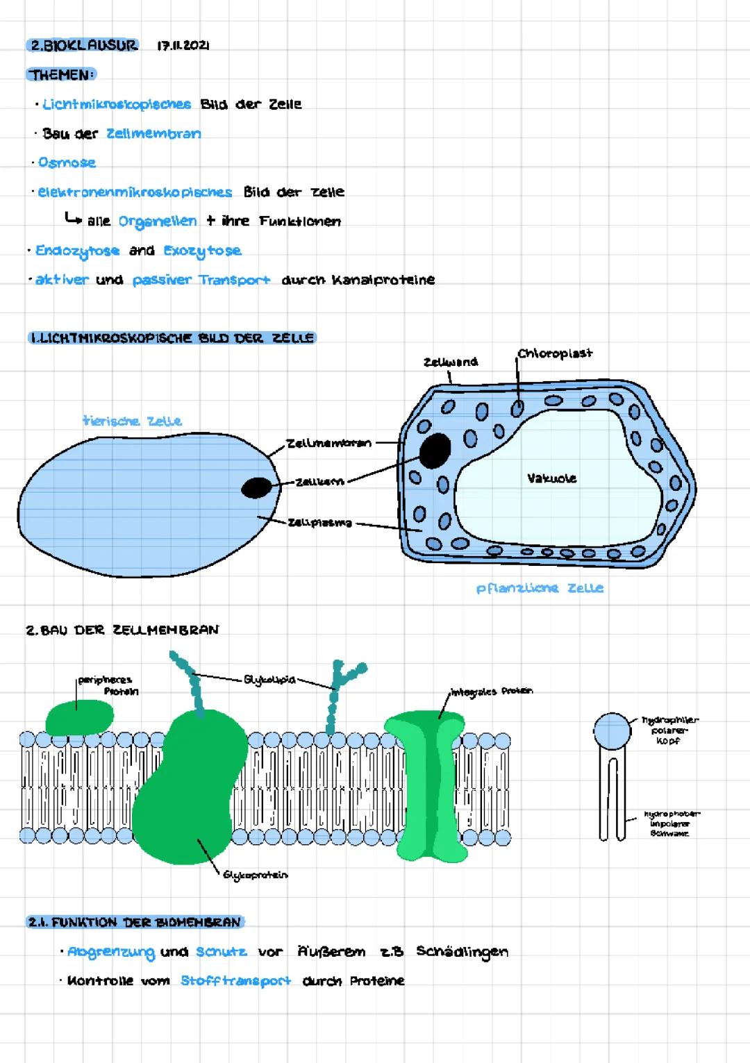 Zellbiologie: Osmose und Membrantransport