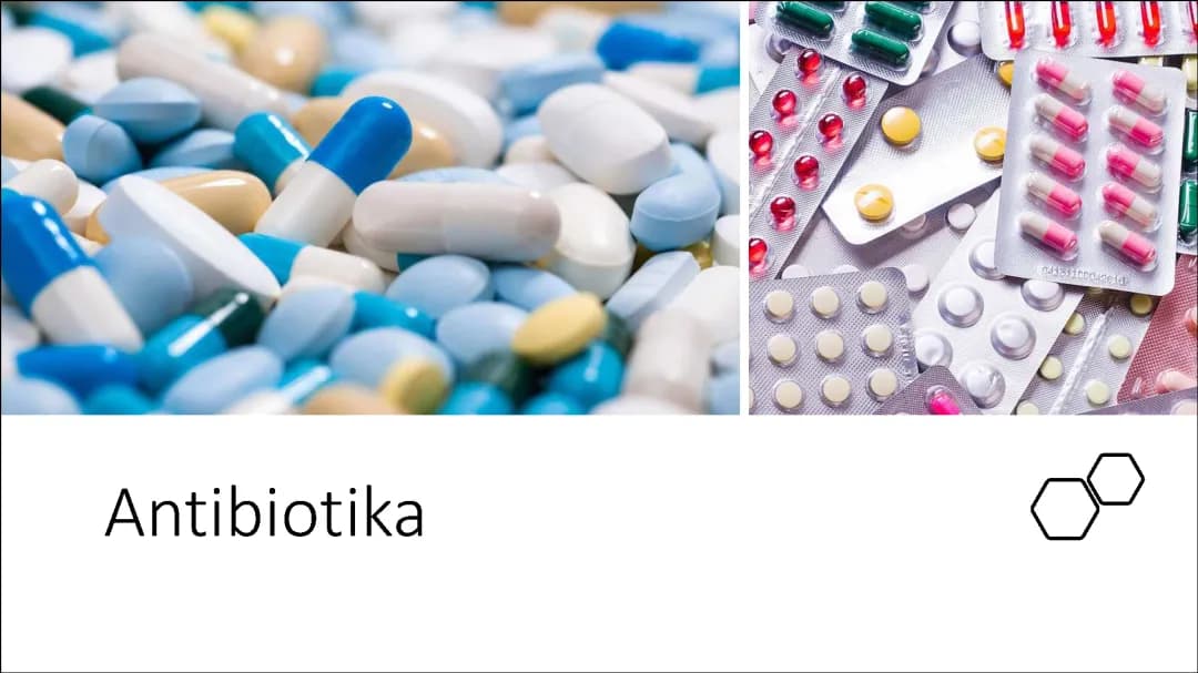PPP Antibiotika 