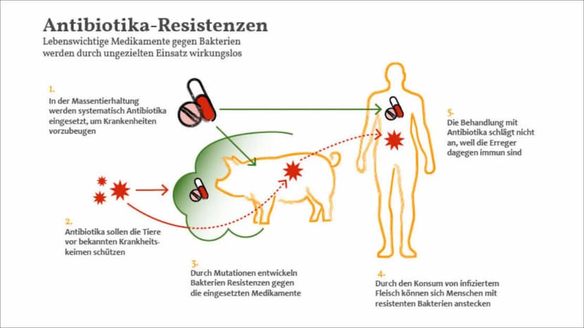 Antibiotika
SUF DEARE
****
04131100042010
c +
Inhaltsverzeichnis
Allgemeines zu Antibiotika
Entdeckung/Geschichte
Grundsätzliche Gruppen
• Z