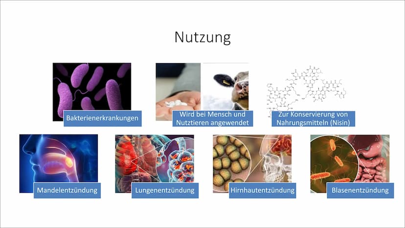 Antibiotika
SUF DEARE
****
04131100042010
c +
Inhaltsverzeichnis
Allgemeines zu Antibiotika
Entdeckung/Geschichte
Grundsätzliche Gruppen
• Z