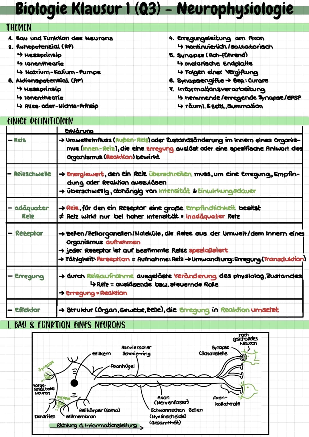 Neurophysiologie