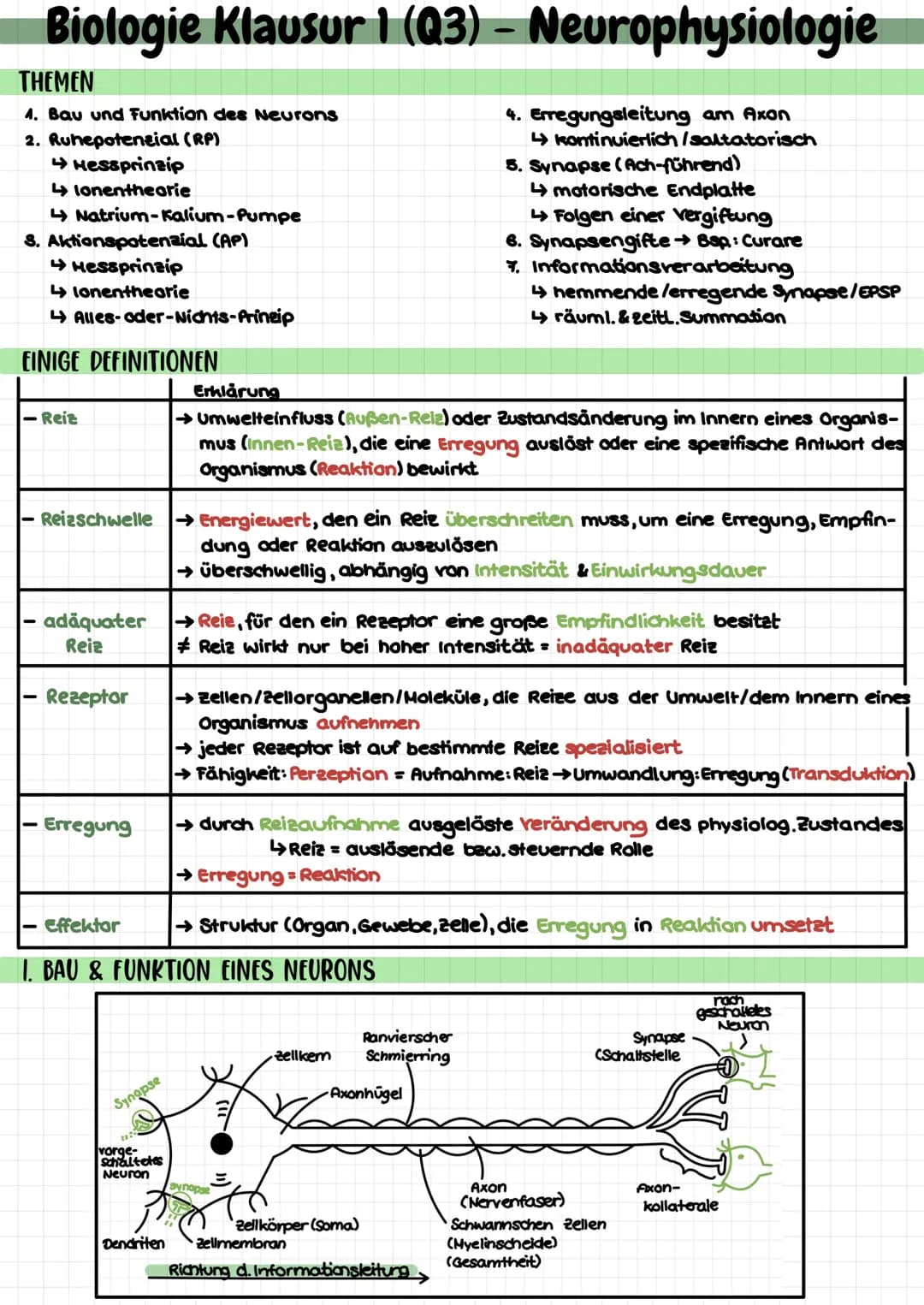 Biologie Klausur 1 (Q3) – Neurophysiologie
4. Erregungsleitung am Axon
kontinuierlich/saltatorisch
5. Synapse (Ach-führend)
4 motorische End