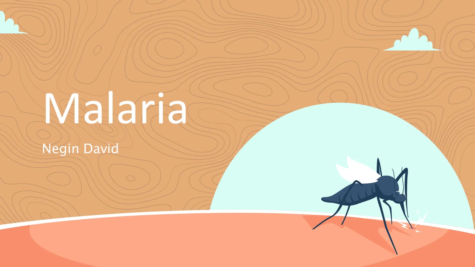 Malaria
Negin David
C Inhaltsverzeichnis
Einstieg in das Thema
WHO- Statistik
• 3 Arten von Malaria
Veranschaulichung
Erreger / die Anophele