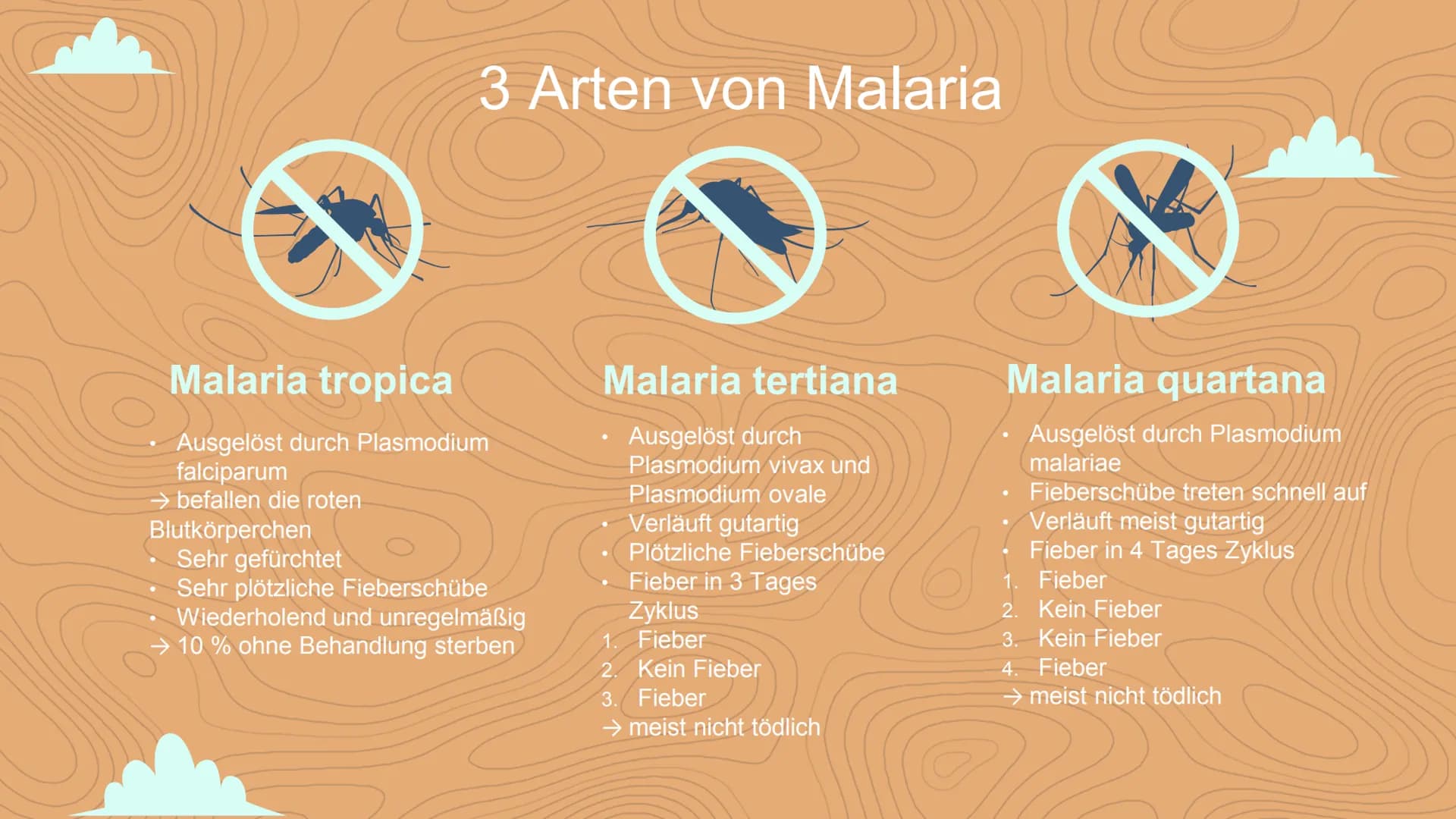 Malaria
Negin David
C Inhaltsverzeichnis
Einstieg in das Thema
WHO- Statistik
• 3 Arten von Malaria
Veranschaulichung
Erreger / die Anophele