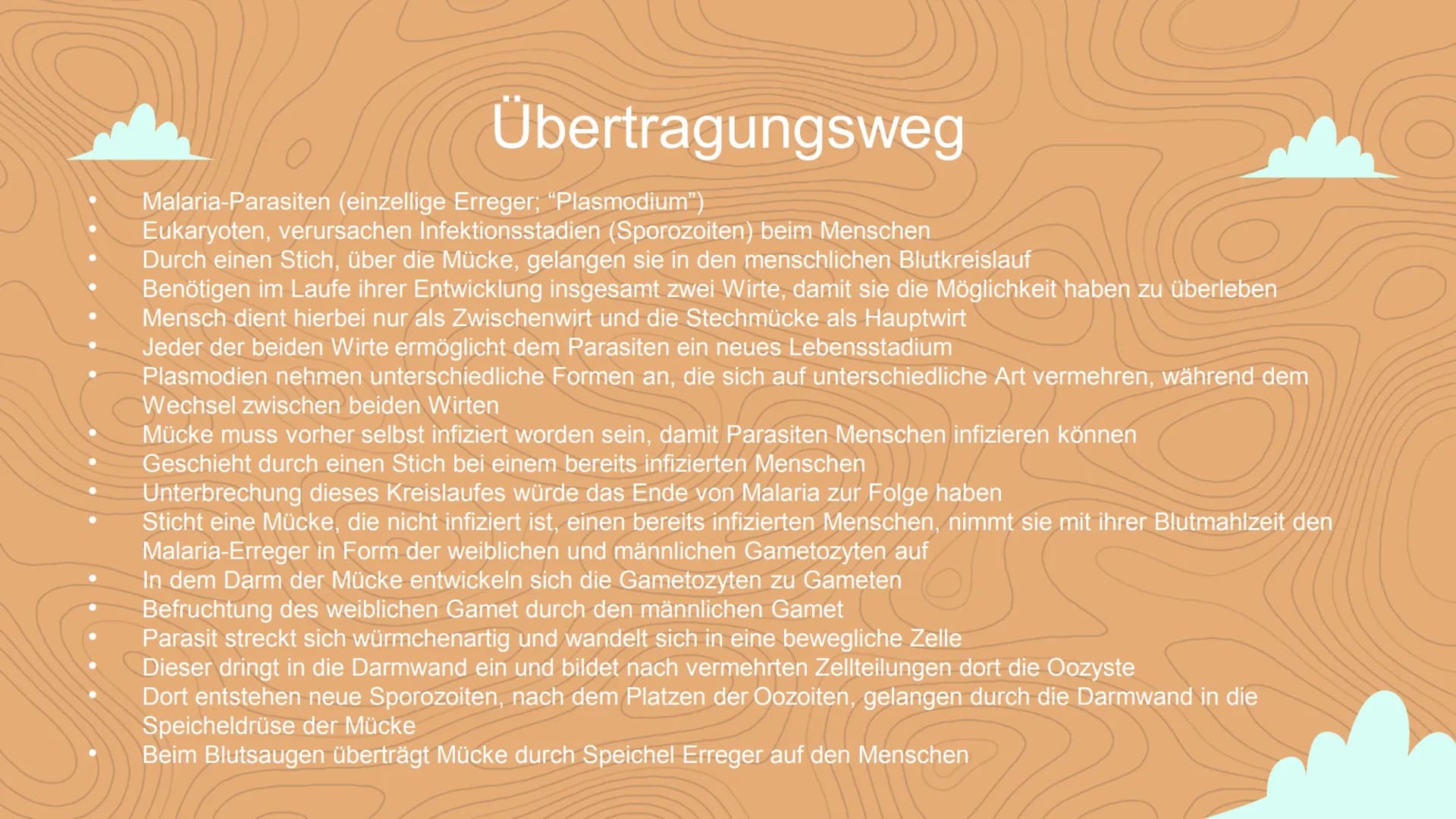 Malaria
Negin David
C Inhaltsverzeichnis
Einstieg in das Thema
WHO- Statistik
• 3 Arten von Malaria
Veranschaulichung
Erreger / die Anophele