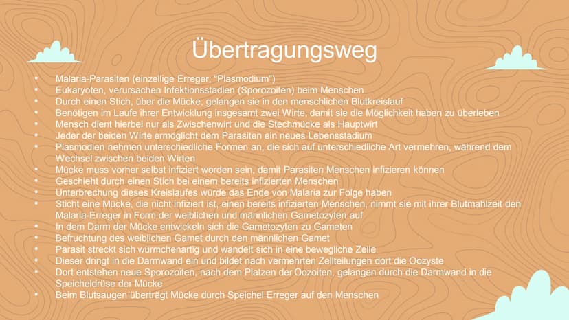 Malaria
Negin David
C Inhaltsverzeichnis
Einstieg in das Thema
WHO- Statistik
• 3 Arten von Malaria
Veranschaulichung
Erreger / die Anophele