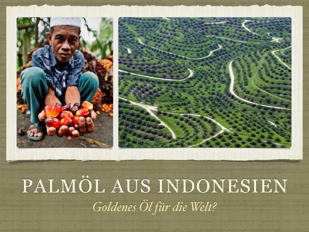  Präsentation Palmöl aus Indonesien - Goldenes Öl für die Welt?