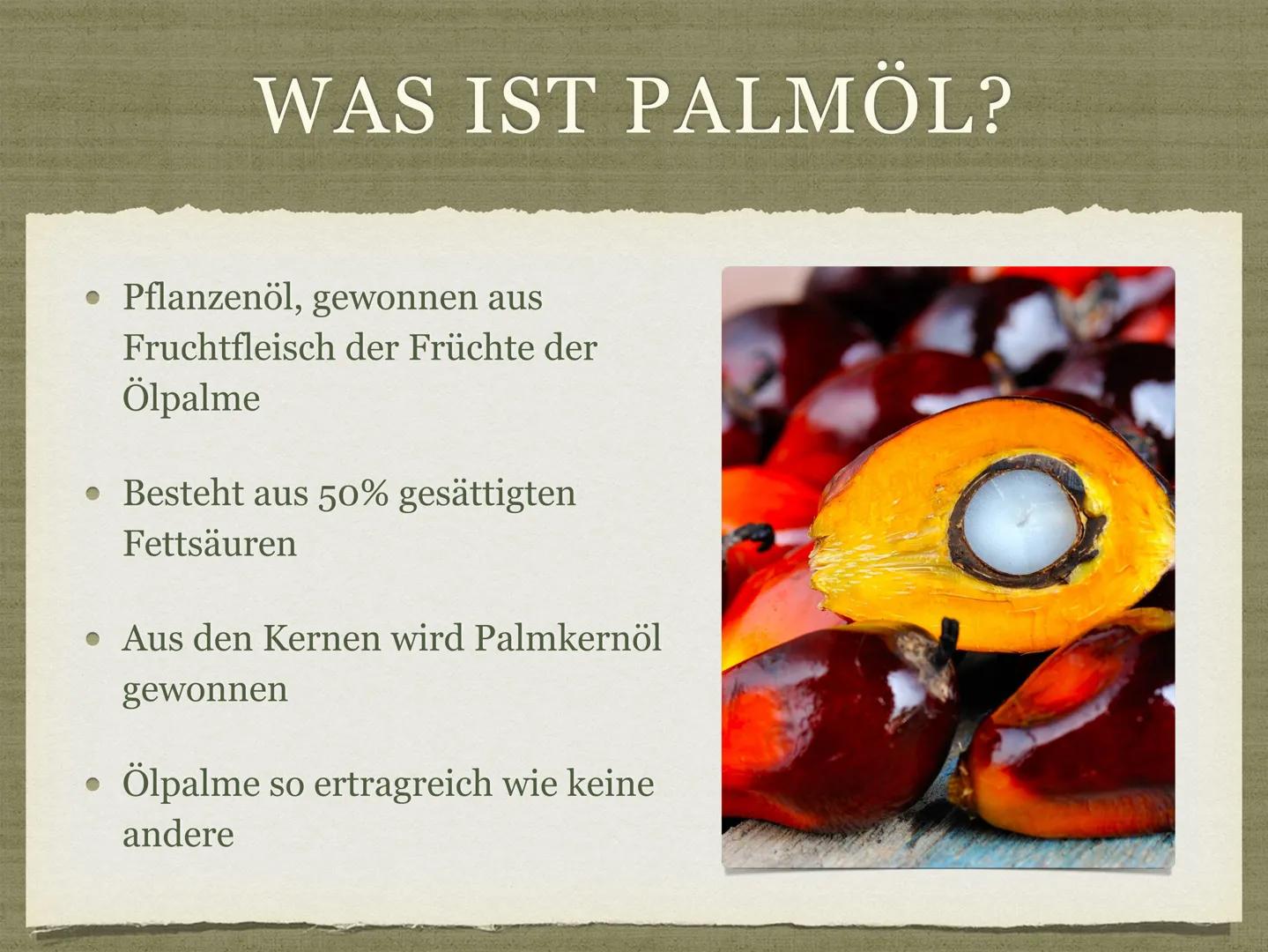 PALMÖL AUS INDONESIEN
Goldenes Öl für die Welt? GLIEDERUNG
Was ist Palmöl?
• Ist Palmöl gesund?
• Wofür wird Palmöl verwendet?
• Indonesien 