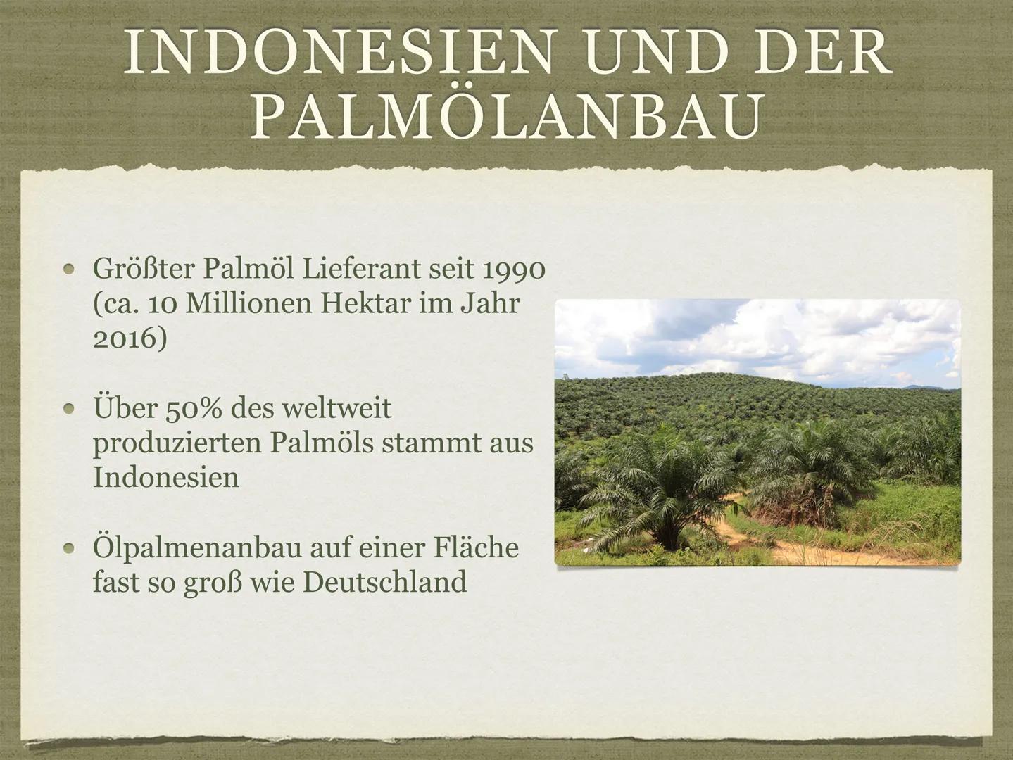 PALMÖL AUS INDONESIEN
Goldenes Öl für die Welt? GLIEDERUNG
Was ist Palmöl?
• Ist Palmöl gesund?
• Wofür wird Palmöl verwendet?
• Indonesien 