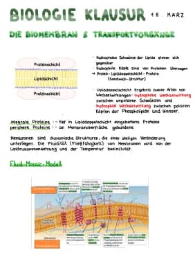 Know Biomembran und Transportvorgänge thumbnail