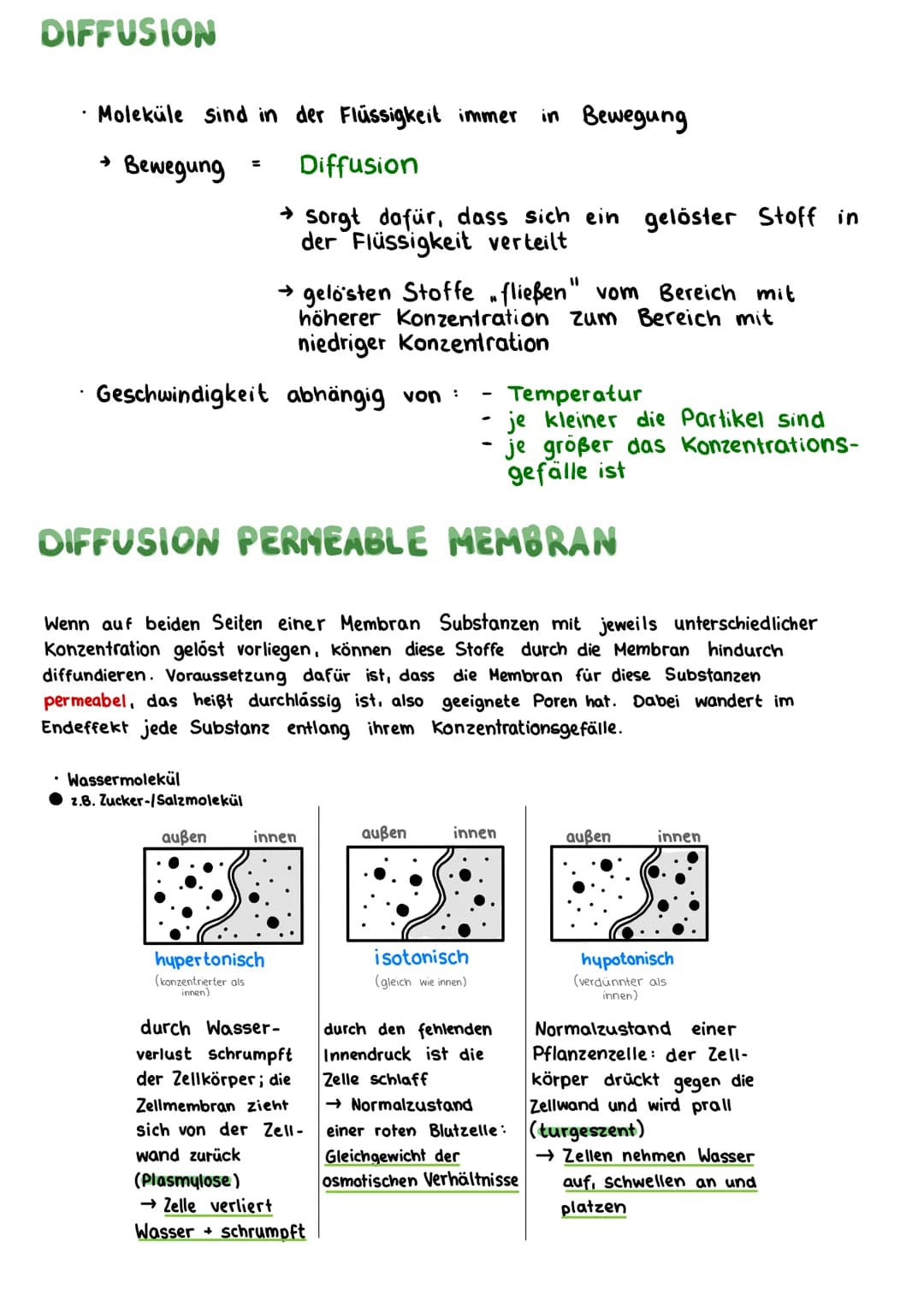BIOLOGIE KLAUSUR
DIE BIOMEMBRAN & TRANSPORTVORGÄNGE
Proteinschicht
Lipidschicht
ó ó ó ó ó ó ó ó ó ó ó ó ó ó ó ó óóóóóóó
Proteinschicht
Extra