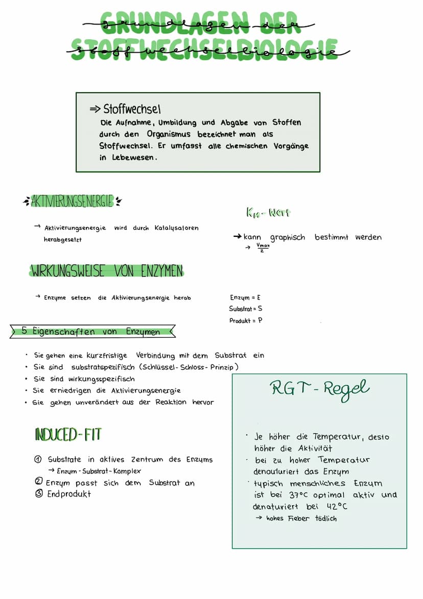 BIOLOGIE KLAUSUR
DIE BIOMEMBRAN & TRANSPORTVORGÄNGE
Proteinschicht
Lipidschicht
ó ó ó ó ó ó ó ó ó ó ó ó ó ó ó ó óóóóóóó
Proteinschicht
Extra