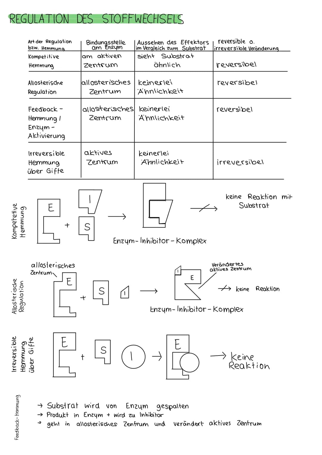 BIOLOGIE KLAUSUR
DIE BIOMEMBRAN & TRANSPORTVORGÄNGE
Proteinschicht
Lipidschicht
ó ó ó ó ó ó ó ó ó ó ó ó ó ó ó ó óóóóóóó
Proteinschicht
Extra