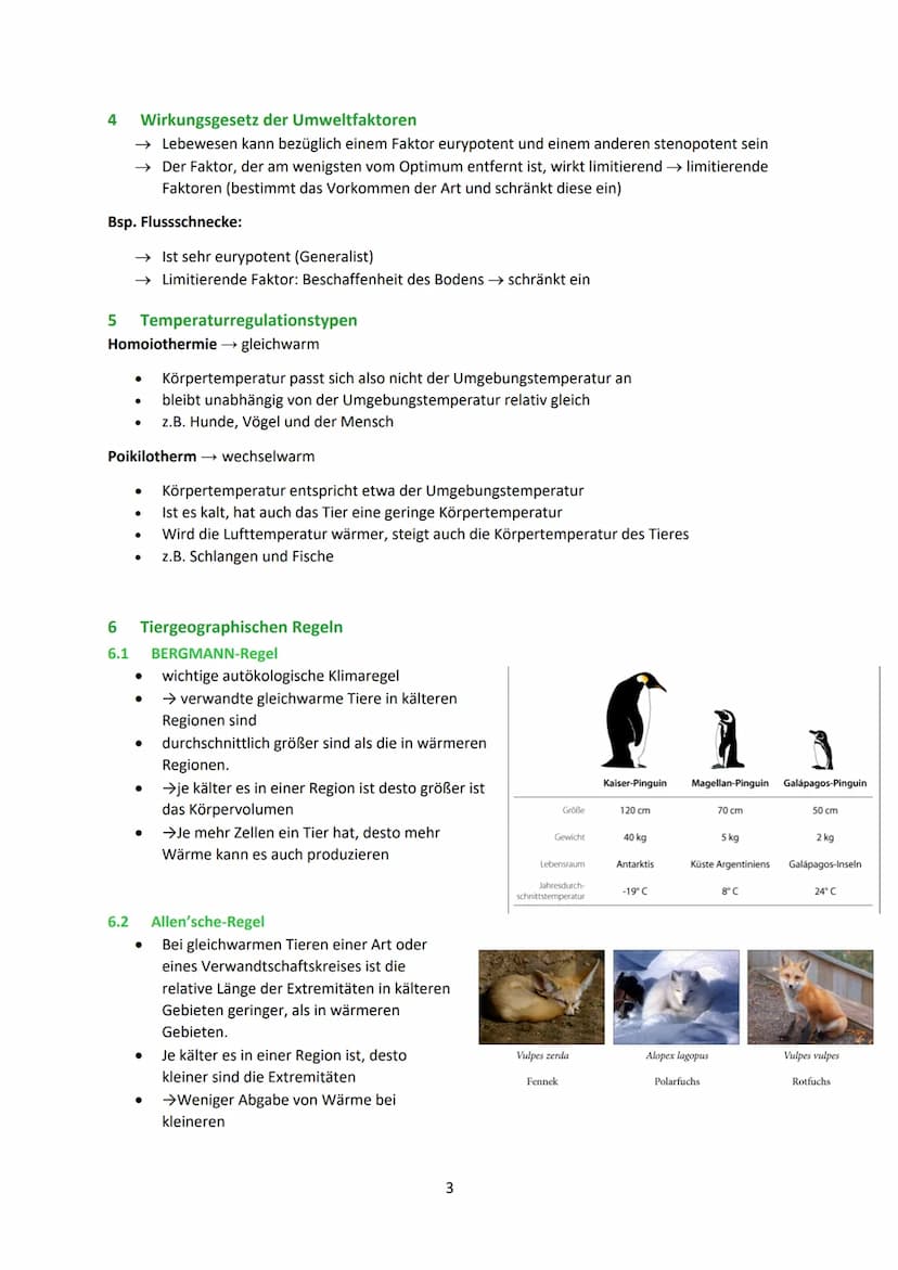 Ökologie
0 Allgemein
0.1 Ökosystem
Komplexes Netz von Wechselwirkungen zwischen den Faktoren eines Biotops und der Biozönose, die
dieses Bio