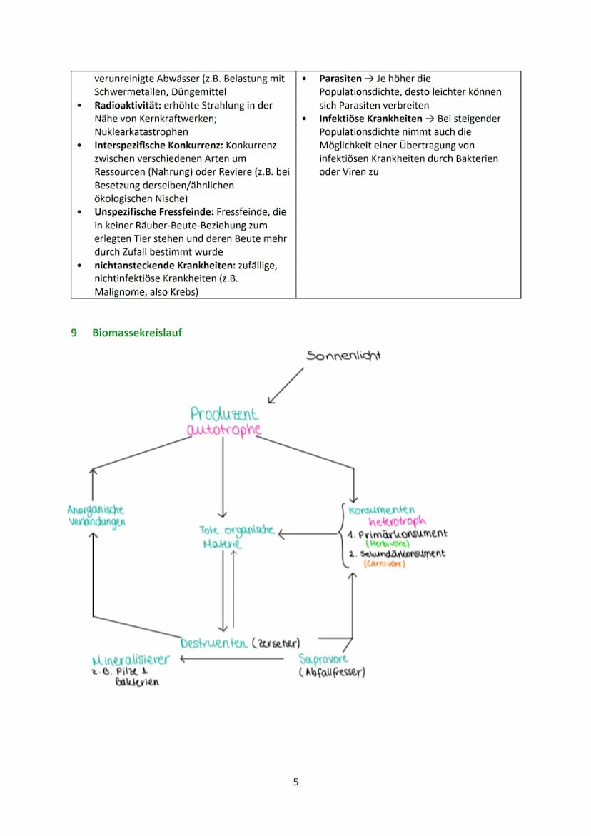 Ökologie
0 Allgemein
0.1 Ökosystem
Komplexes Netz von Wechselwirkungen zwischen den Faktoren eines Biotops und der Biozönose, die
dieses Bio