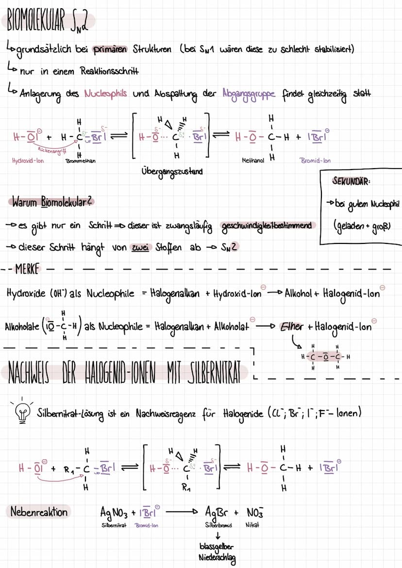 Q1.Z ALKANOLE UND
CARBONYLVERBINDUNGEN
ALKANOLE
Alkanole sind organische Verbindnungen, die eine oder mehrere Hydroxid-Gruppen in ihren Mole