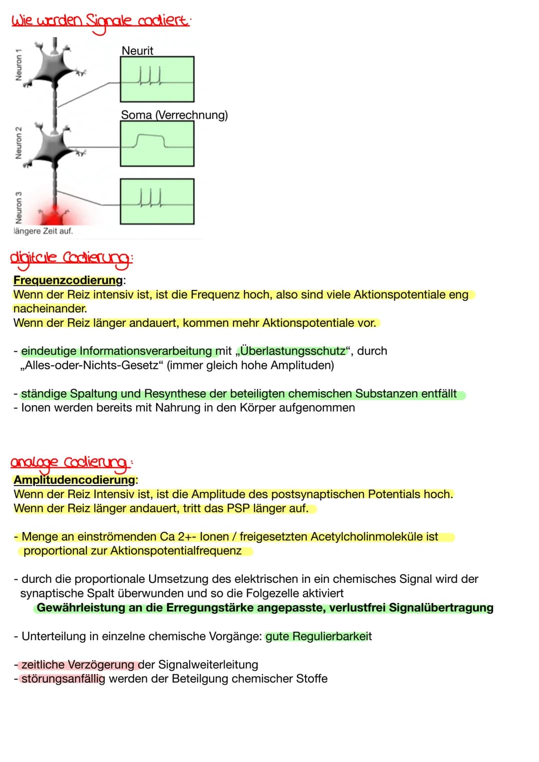 Wie werden Signale codiert.
Neuron 1
Neuron 2
Neuron 3
längere Zeit auf.
Neurit
Щ
Soma (Verrechnung)
digitcile Codierung:
Frequenzcodierung: