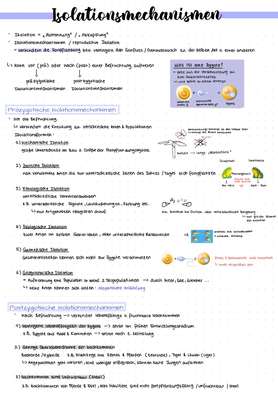 Isolationsmechanismen