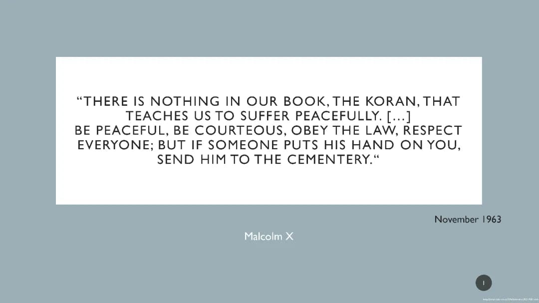 Malcolm X 