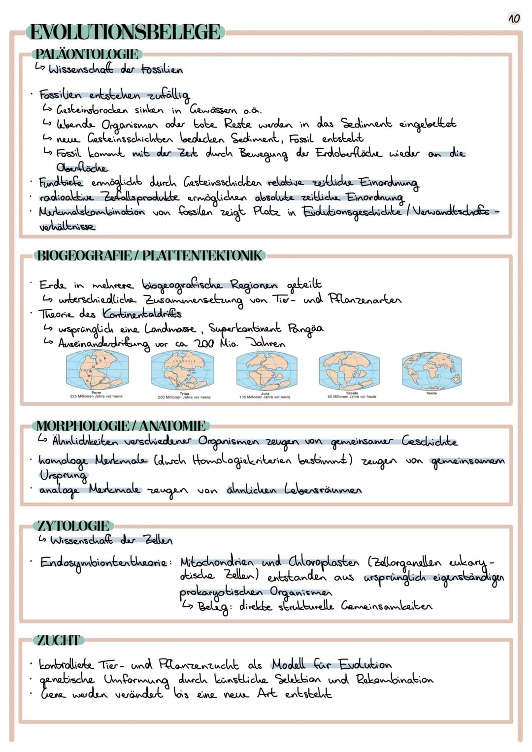 Evolution
Lehre der Entwicklung von Lebewesen
EVOLUTIONSTHEORIEN
CARL VON LINNÉ
1707 1778
Begründer der Systematik (Schöpfung durch Gott)
ve
