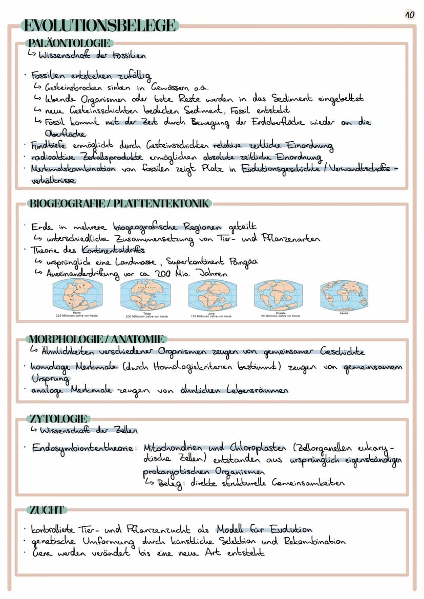 Evolution
Lehre der Entwicklung von Lebewesen
EVOLUTIONSTHEORIEN
CARL VON LINNÉ
1707 1778
Begründer der Systematik (Schöpfung durch Gott)
ve
