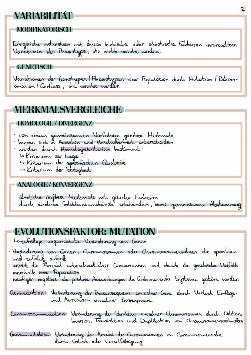 Evolution
Lehre der Entwicklung von Lebewesen
EVOLUTIONSTHEORIEN
CARL VON LINNÉ
1707 1778
Begründer der Systematik (Schöpfung durch Gott)
ve