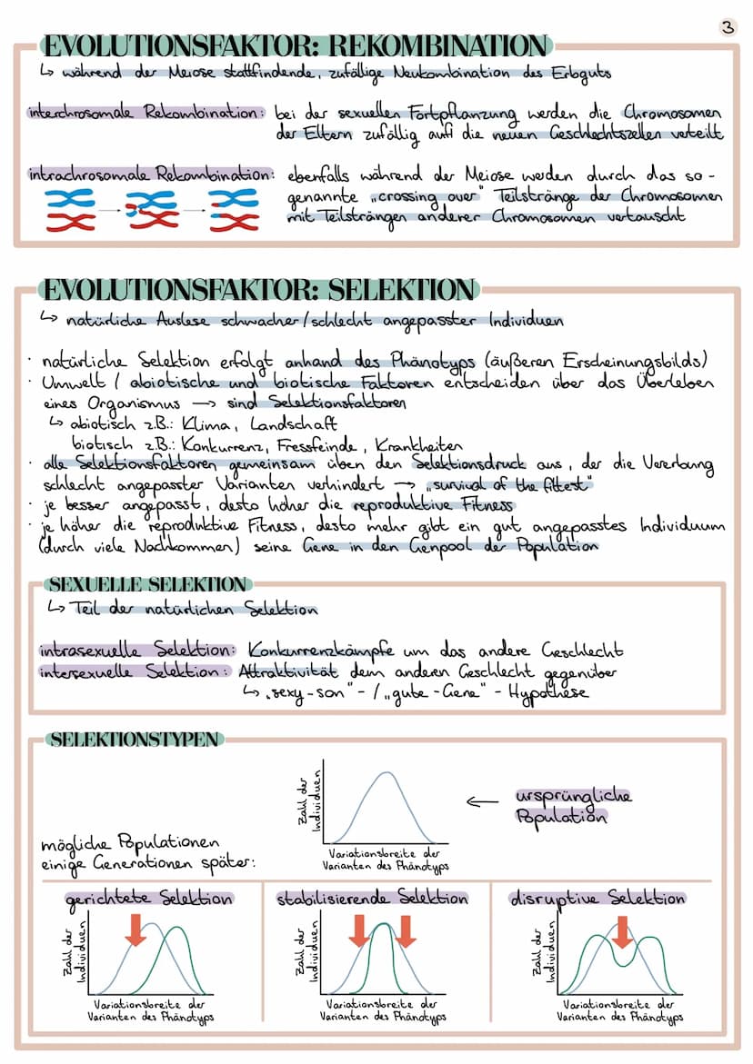 Evolution
Lehre der Entwicklung von Lebewesen
EVOLUTIONSTHEORIEN
CARL VON LINNÉ
1707 1778
Begründer der Systematik (Schöpfung durch Gott)
ve