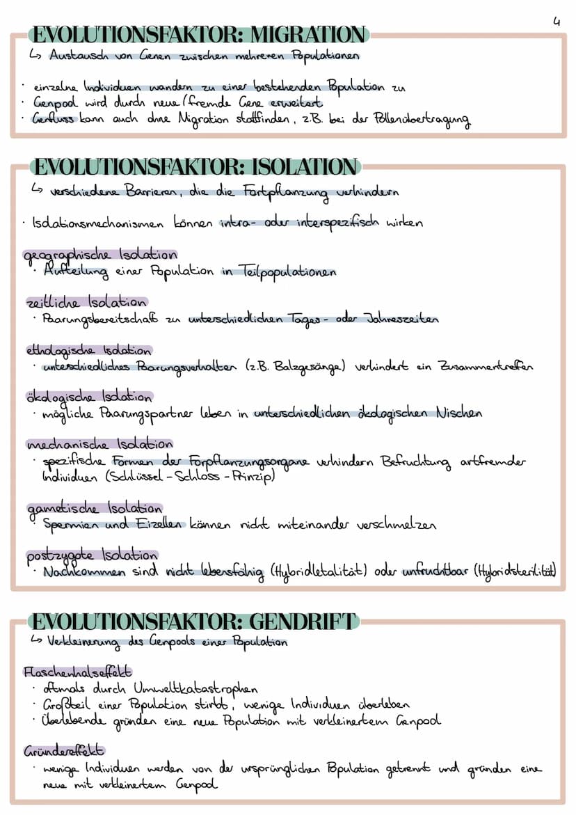 Evolution
Lehre der Entwicklung von Lebewesen
EVOLUTIONSTHEORIEN
CARL VON LINNÉ
1707 1778
Begründer der Systematik (Schöpfung durch Gott)
ve